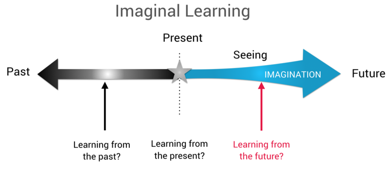 Imaginal learning is key to enabling our students to learn from the future. 